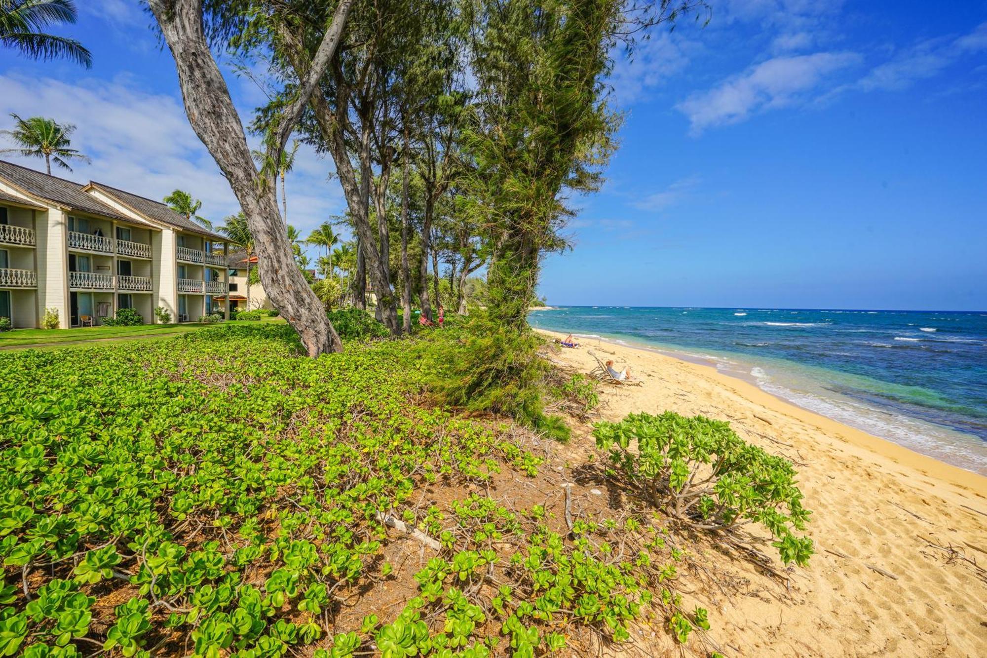 Islander On The Beach Kapa'a Habitación foto